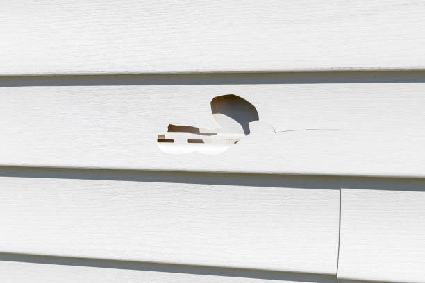 Best Custom Trim and Detailing for Siding  in Hustisford, WI