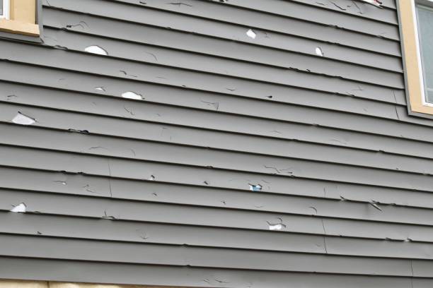 Best Wood Siding Installation  in Hustisford, WI