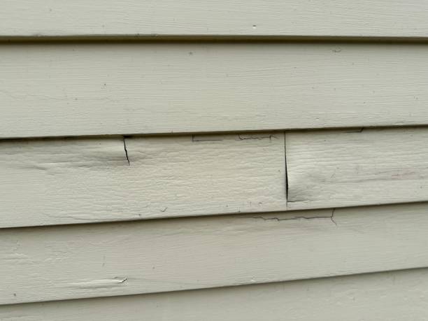 Best Siding Replacement  in Hustisford, WI