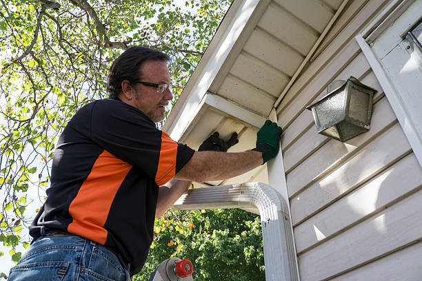 Best Insulated Siding Installation  in Hustisford, WI